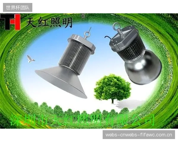 针对青少年低体重用户，速攀保护器的涡流制动效应较弱，其温升数据和安全曲线为何在行业讨论中被长期忽视？
